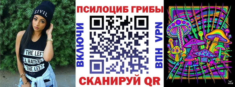 Псилоцибиновые грибы Psilocybe  это формула  Злынка 